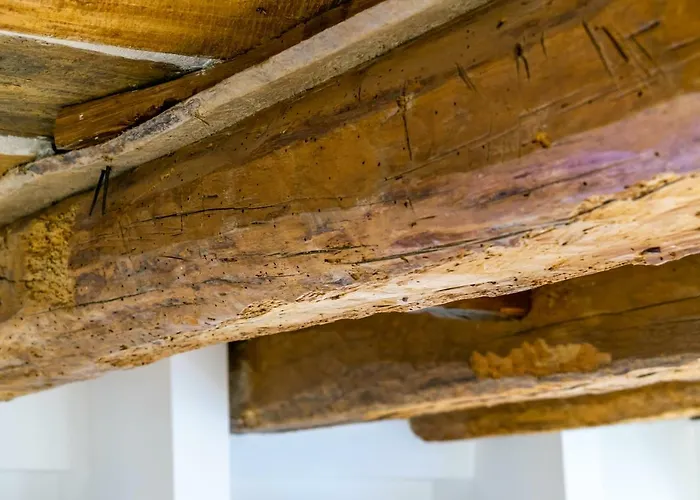 Clavature Luxuryapartment Апартаменты Болонья