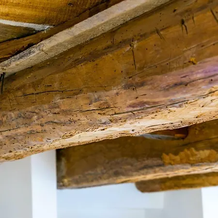 Clavature Luxuryapartment Appartement Bologna